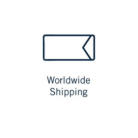 Keywing key turner world wide shipping icon.